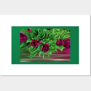 Maroon Tulips Posters and Art